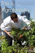 Urban Gardens